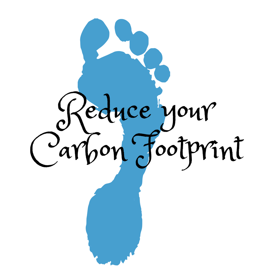 Carbon Footprint – What Size Are You?