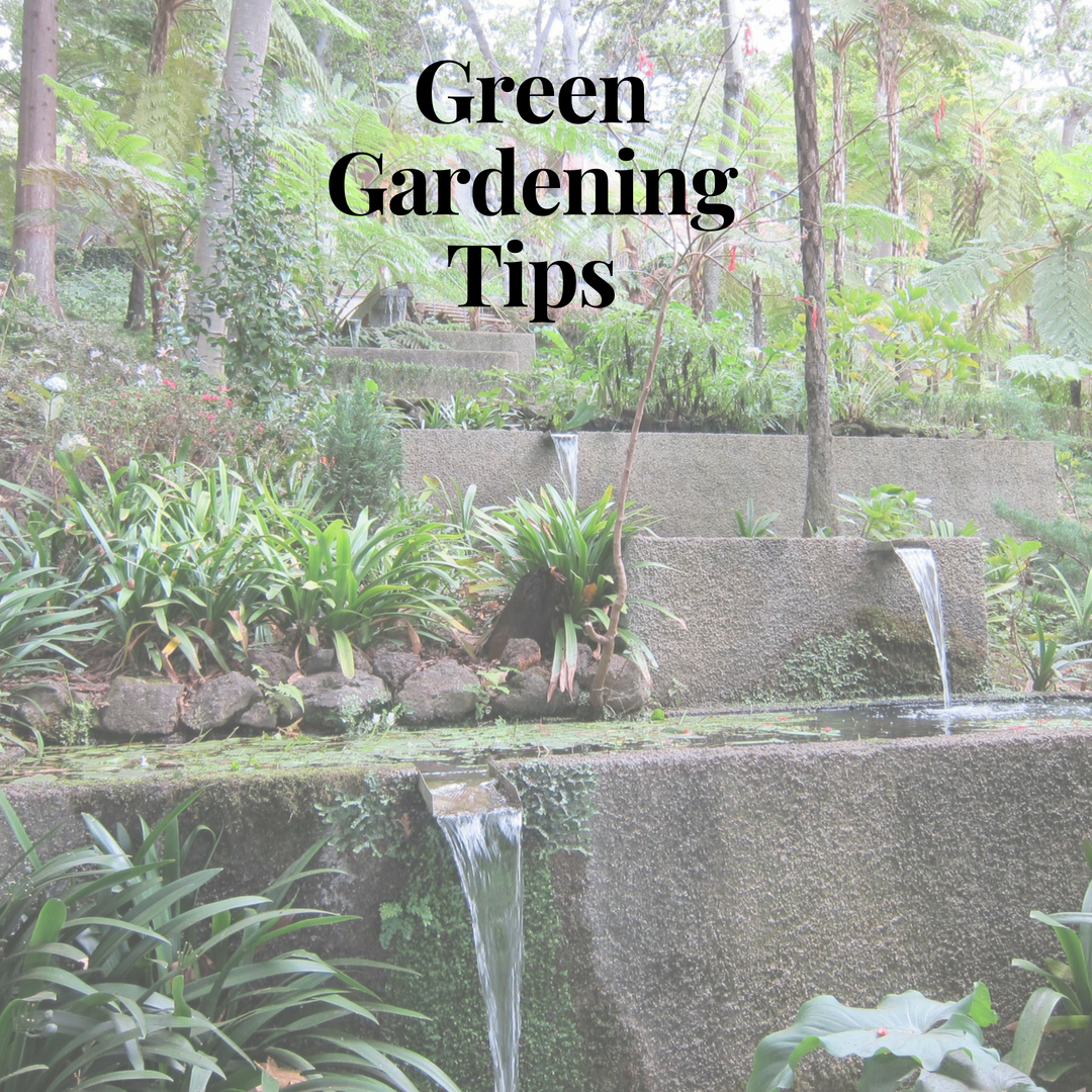 Top Green Gardening Tips