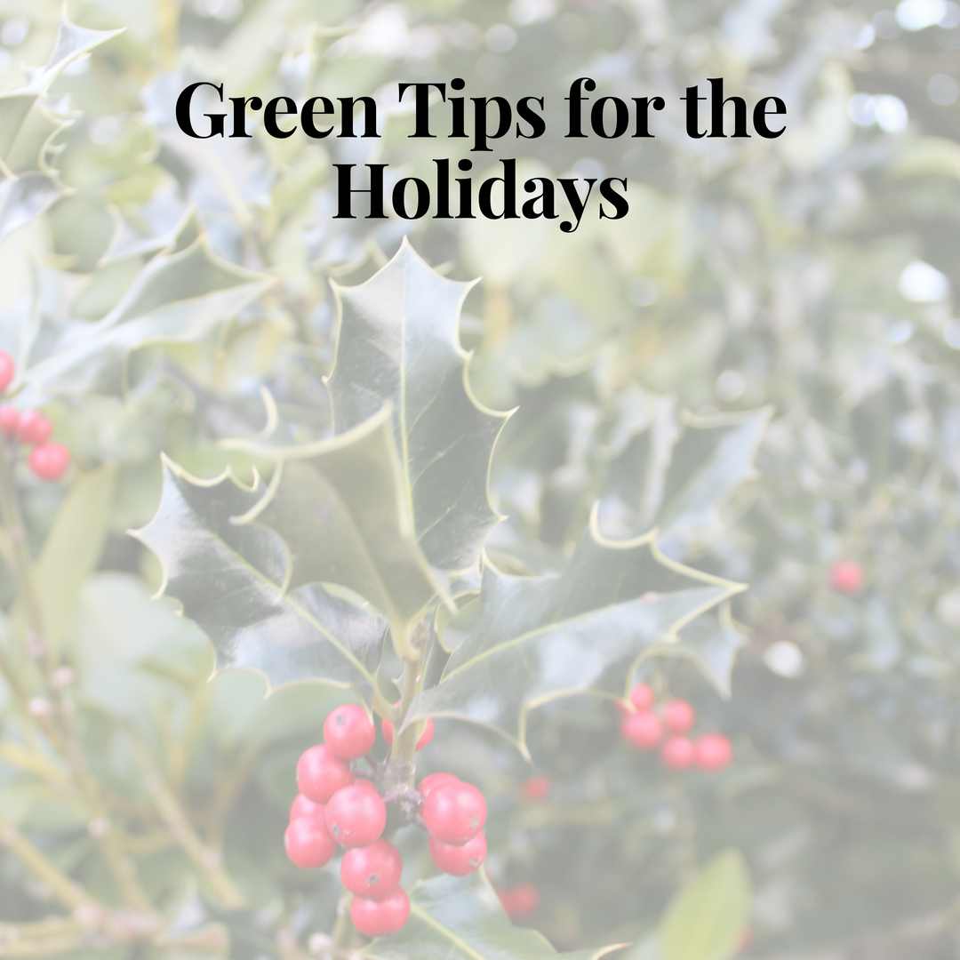 Green Tips for the Holidays