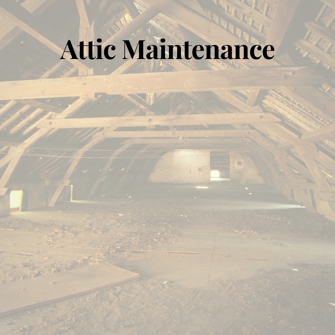 Attic Maintenance