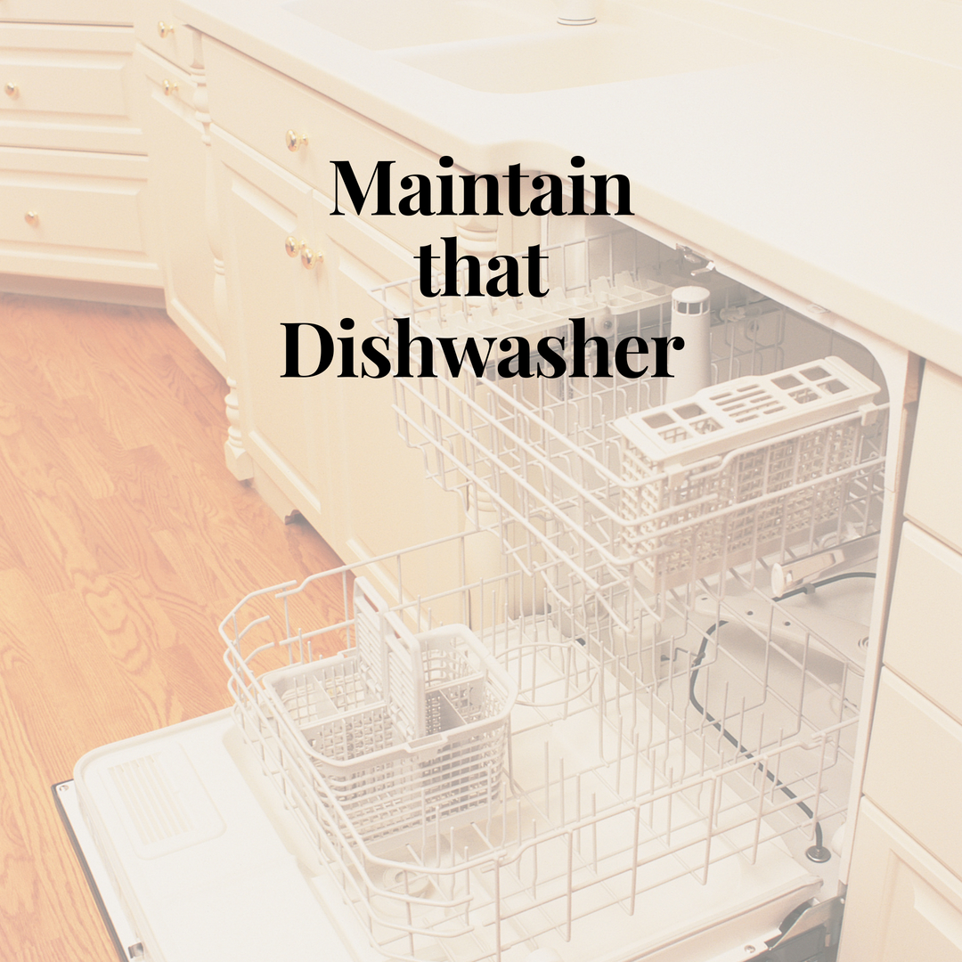 Leaky dishwasher or dirty plates?