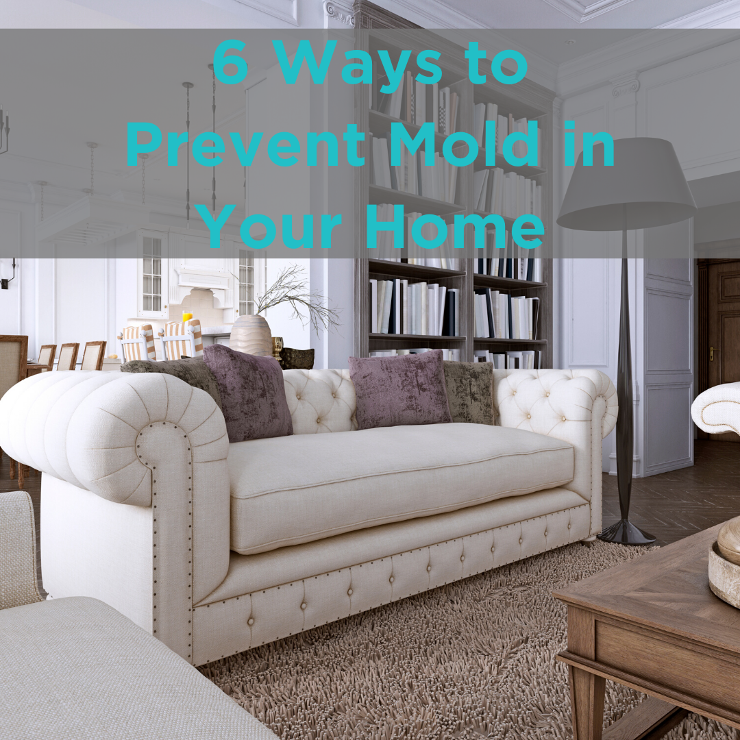 6 Ways to Prevent Mold in Your Home