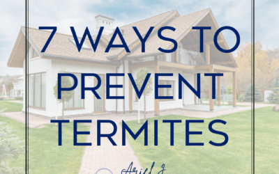 7 Ways to Prevent Termite Damage